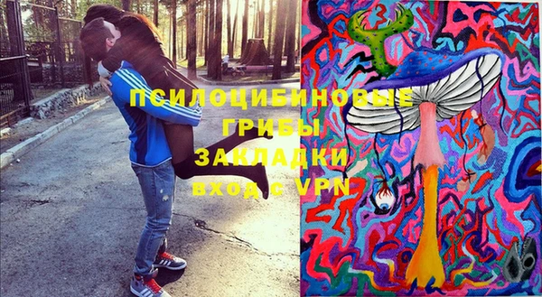 дмт Покровск