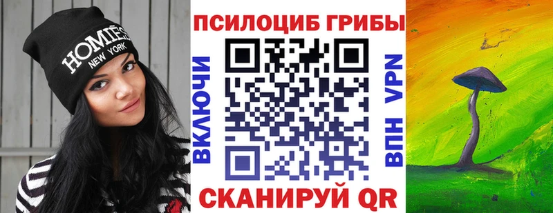 Купить  Красногорск  Псилоцибиновые грибы GOLDEN TEACHER 