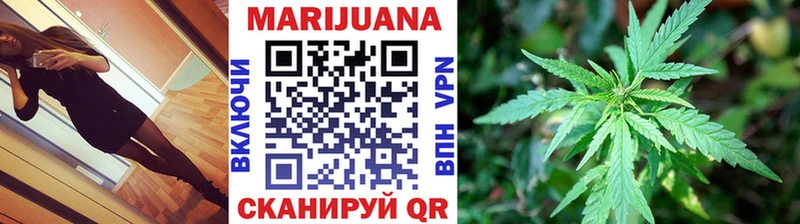 Купить  Красногорск  Конопля сатива 